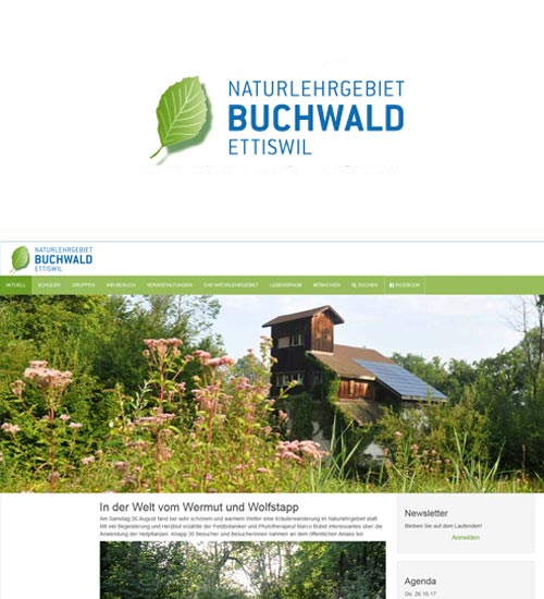 Referenzprojekt Naturlehrgebiet Buchwald