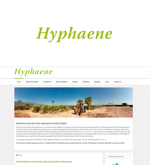 Referenzprojekt Hyphaene